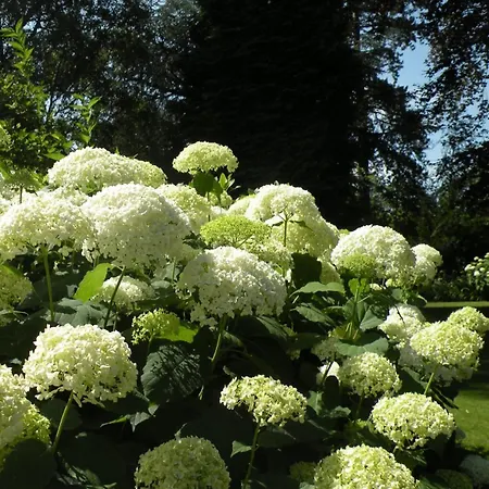 De Charme Proche De Lille - La Conciergerie Vakantiehuis Sainghin-en-Mélantois